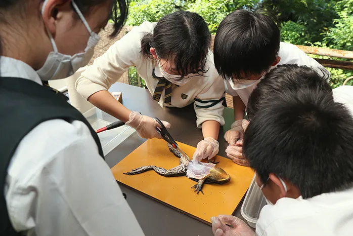 小豆島で理科の実験･実習