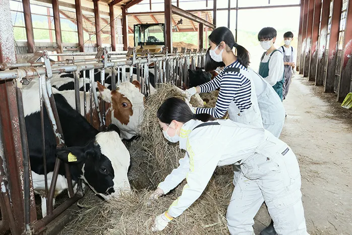 修学旅行　高校2年生